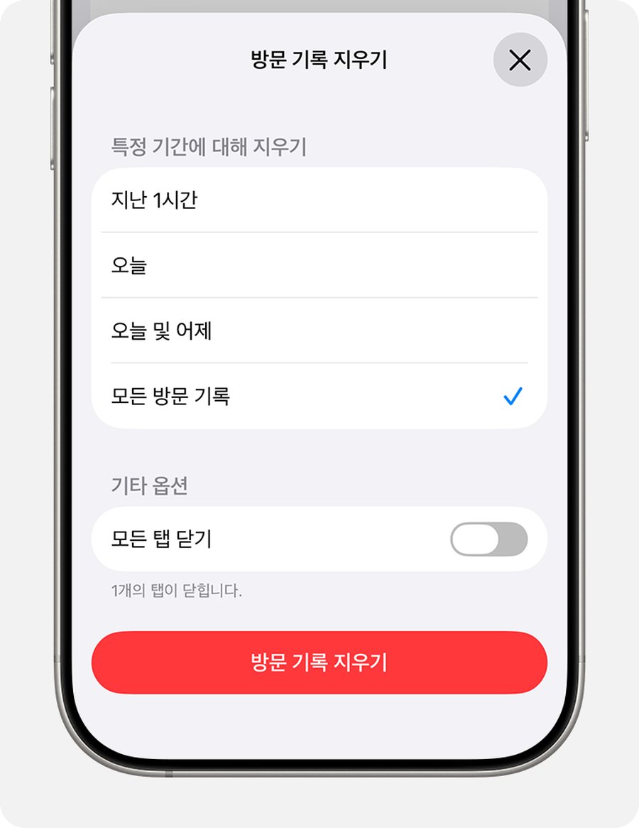 지울 기간을 고르고 방문 기록 지우기 버튼을 누르는 화면